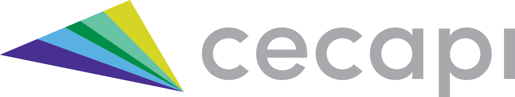 CECAPI logo